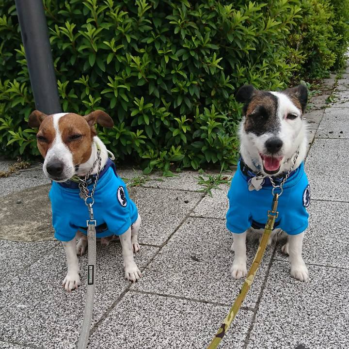 97a480e9 bcfb 455d 9c43 bf16fbecda0c 1592434868091