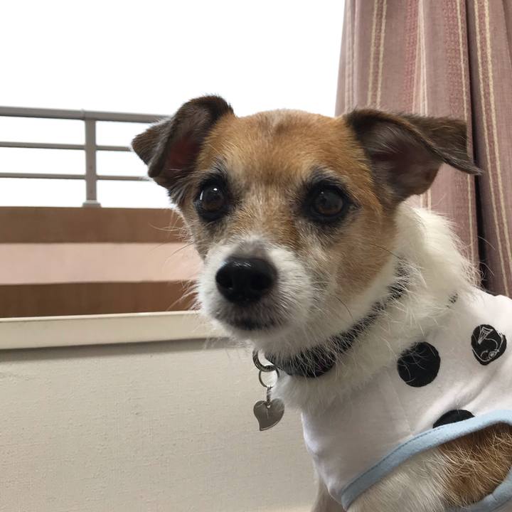 97a483d9 0e5c 4fe3 8dc1 5891b024c2a6 1570141806563