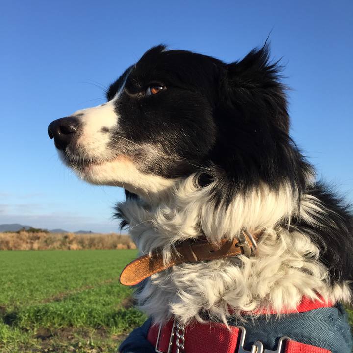 97a487b5 6106 45be 8c92 45f24347d051 1520635737499