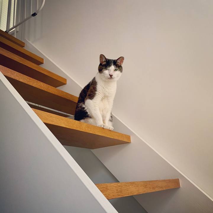 97a48c44 7b54 4fb7 8619 3c7c27134e73 1623577312101