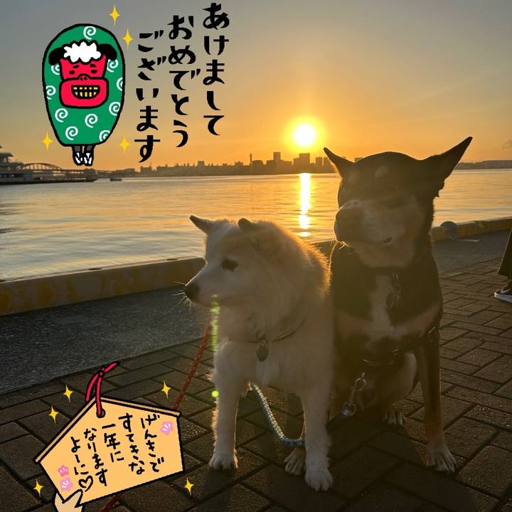 97a48f48 2cbd 4984 ab62 8376ba8a4eae 1735994005175