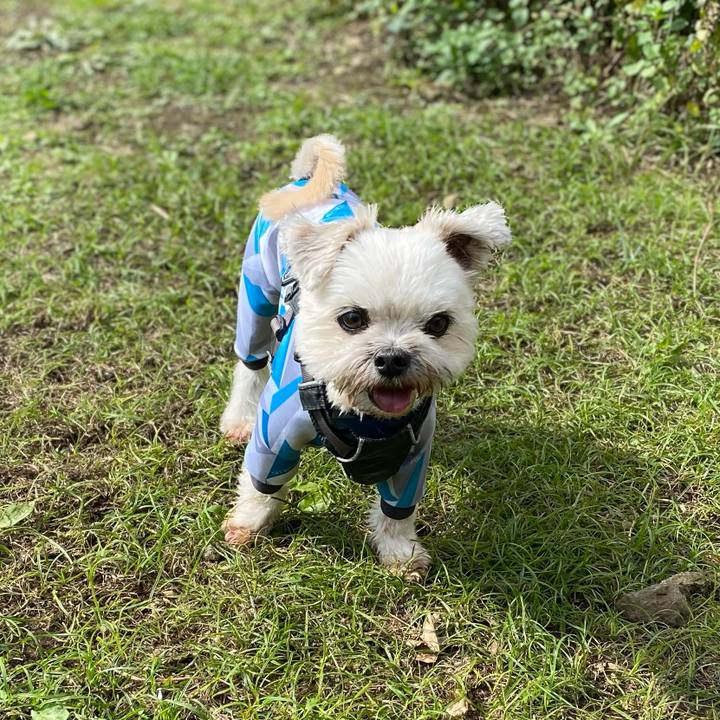 97a4ba44 f527 42ad b7fb 04158e886466 1603520803753