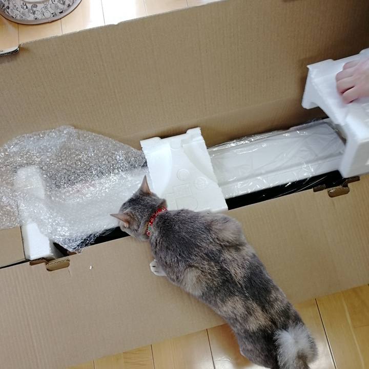 97a4c3f1 f040 4794 848a d86b1367fa12 1529302171014