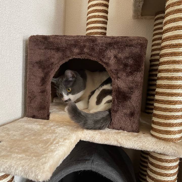 97a50f82 bcfe 4d08 9efb c33bad1b907e 1663666078361