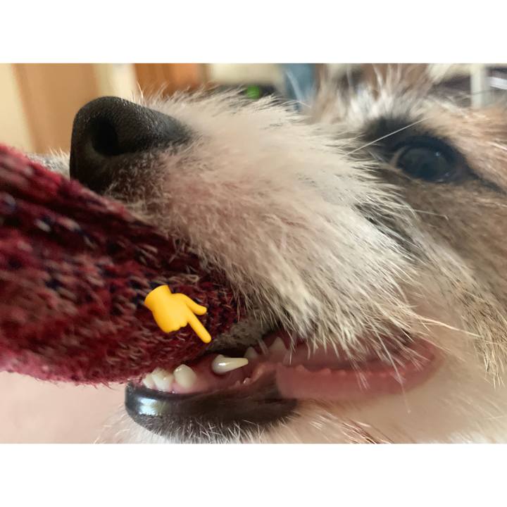 97a5259f dc05 4089 9fe2 7d9ef0c0b714 1566100071752