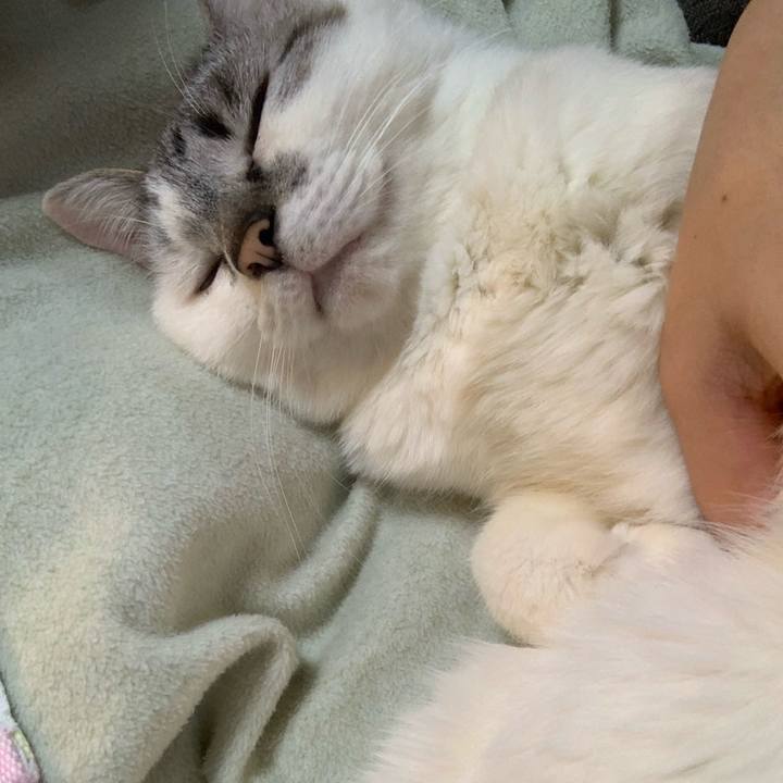 97a5465d 094c 4879 bcbd 0c97ee239f98 1617576622329