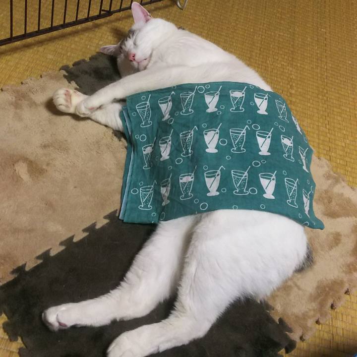 97a54efd fdca 4c8b 9e3f d2868bbb7058 1548065381755