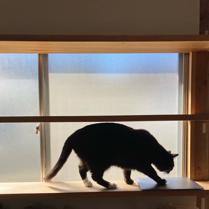 97a5a66d 4b1e 4341 9bc1 fd3d939ed9f8 1615811994595