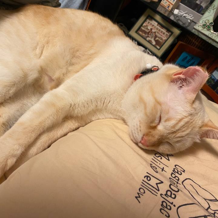 97a5c78b 218e 48d0 aa92 3b8e904ef39a 1658578565483