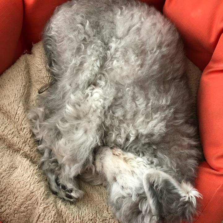 97a5ec3b d9d9 4650 9580 fea2f287a338 1586067782355