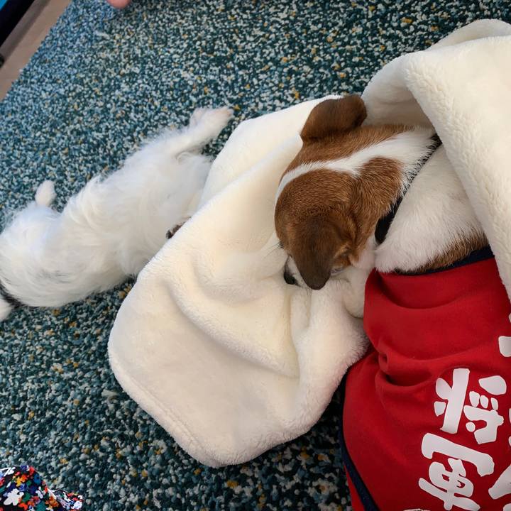 97a6019f 9d6b 4e4e 8f2a 0bf2d7465e43 1597553783544