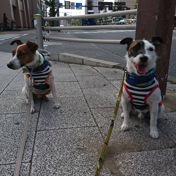 97a604d9 8168 400c ab0f 8165f499cd31 1569628393422