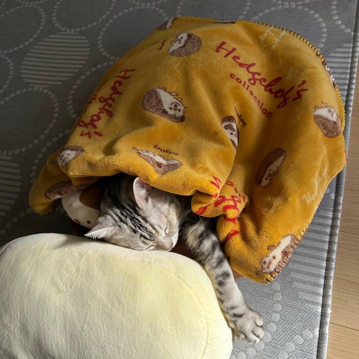 97a61132 318c 4870 a38d ccf5f324e8a3 1764979455214