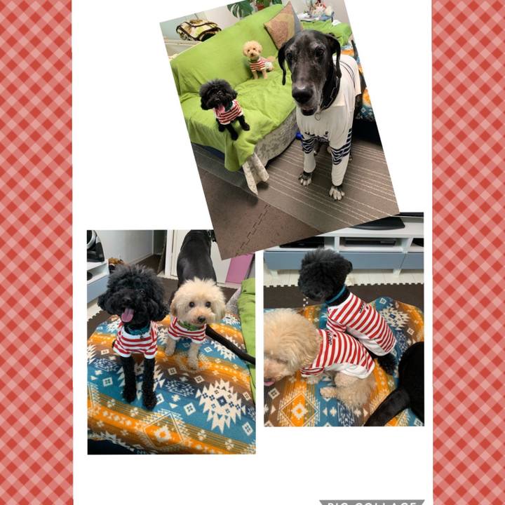 97a6292c 79d0 426b 950e 823a682defff 1571530662095