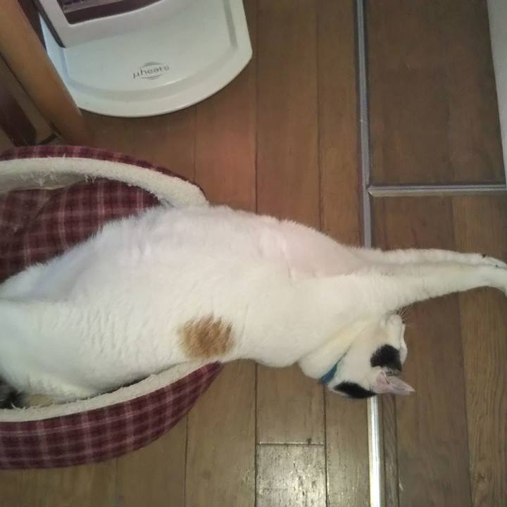 97a631ef 9480 4836 9565 8fc0b593fa11 1608811482590