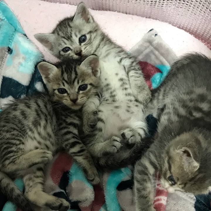 97a66333 e48c 4f37 958b 4b98073e0d3a 1559265727204