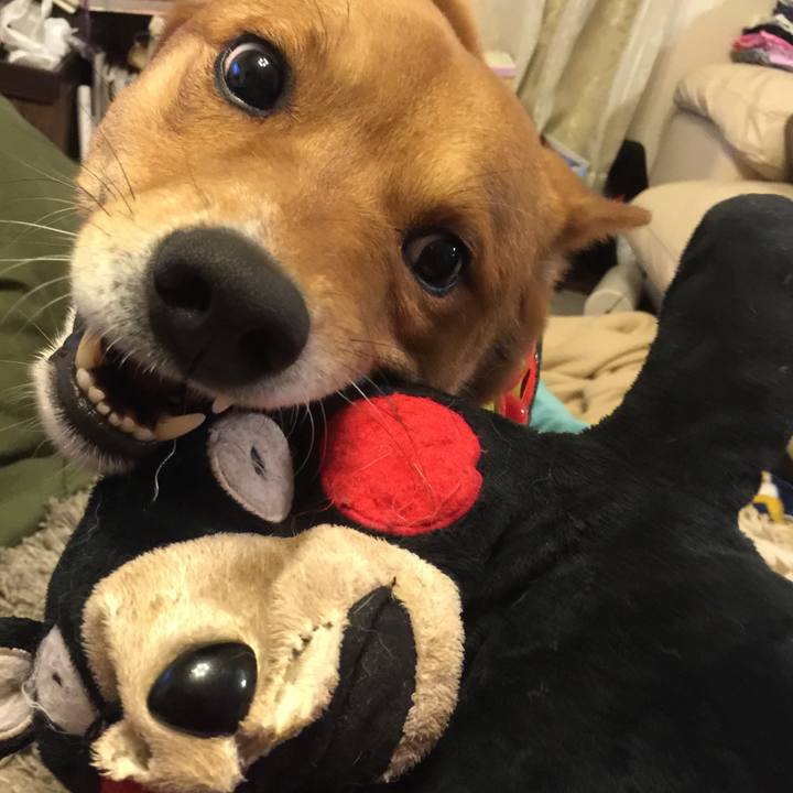 97a6ab0a 8153 4038 935d d65e3af7c934 1664974102704