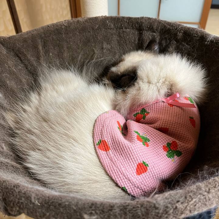 97a6f445 4208 4a3d 85e8 560521acf962 1665402324906