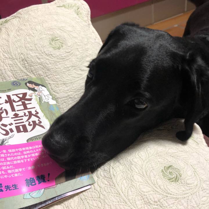 97a6f889 3453 4207 af70 e127fa7714df 1591369476741