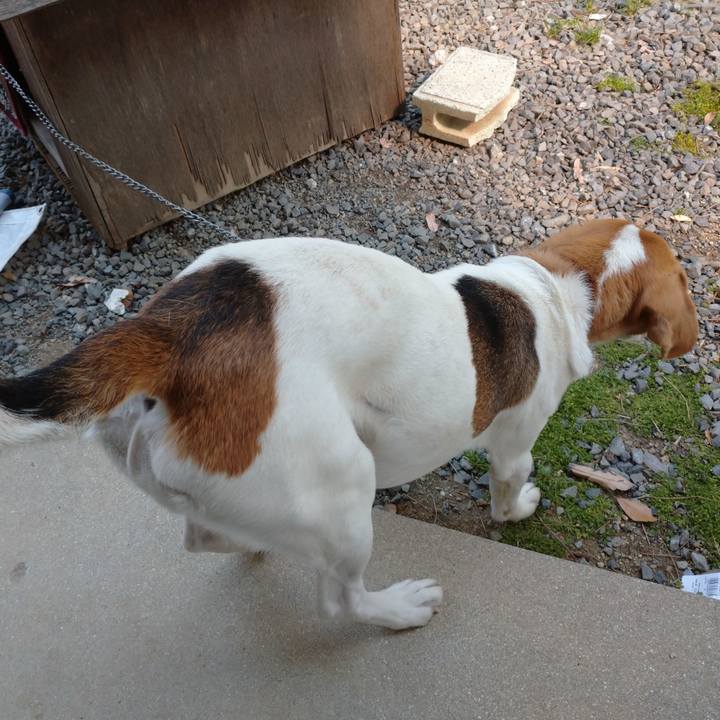 97a71736 778f 4912 8c86 4d7394a8b20c 1589100135048