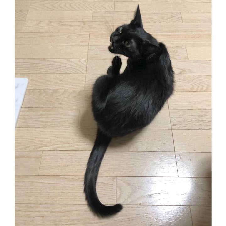 97a71dfe 4dda 4507 8919 61a6a43ea04a 1598618659139