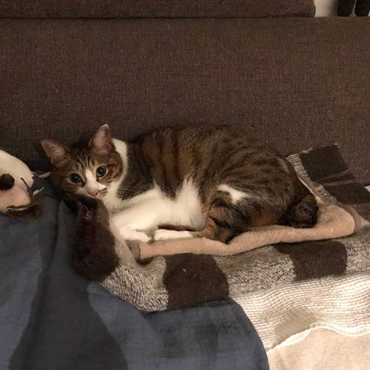 97a7965d 9929 4519 ac35 dd36faabb231 1552004884936