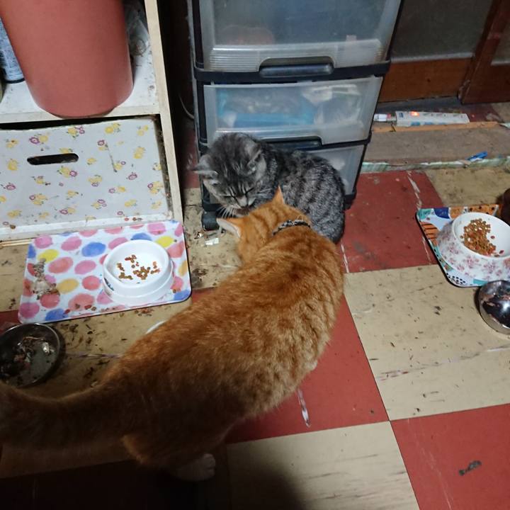 97a7ace2 6665 4215 bc0e 1dec96012a22 1574113985984