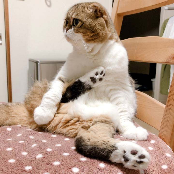 97a7c4d7 8ce5 4665 9ec9 5bdddad4dd7e 1571364801965