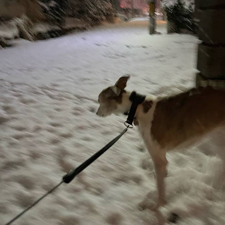 97a7d85e 3a7e 4b67 b6e2 cba0a613533f 1765527807147