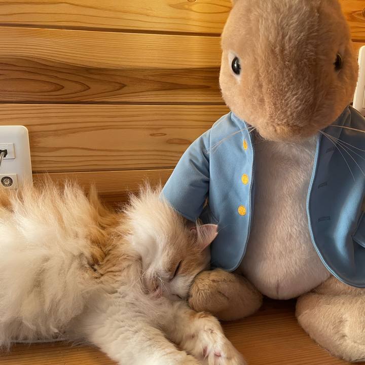 97a7dfc6 7049 4aa0 a06a 4935e4cf870a 1634241995153