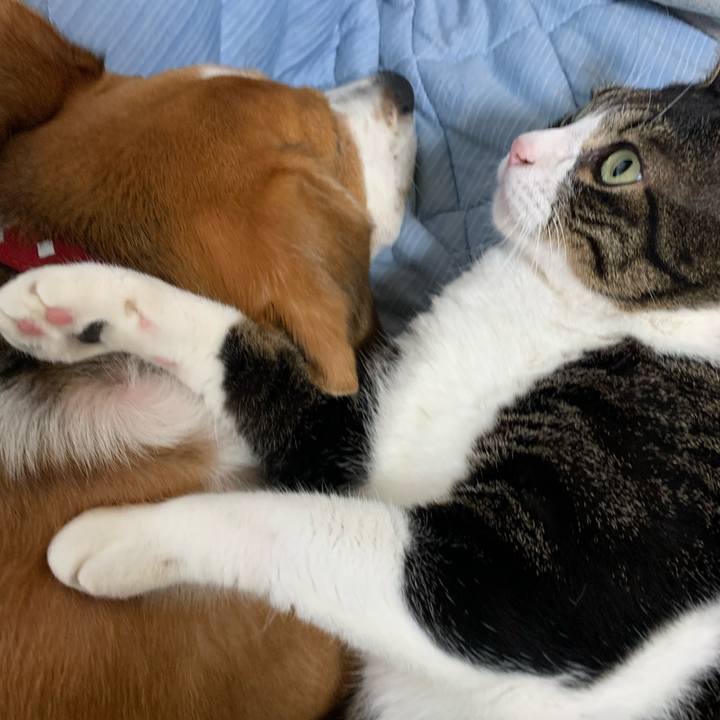 97a808ec f0b9 40fe ba2a 23129ac464f1 1634605891247