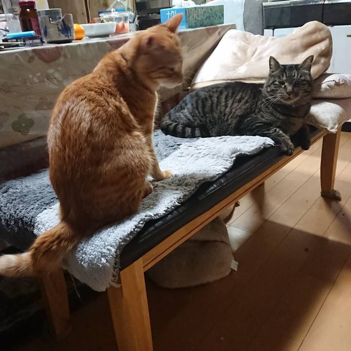 97a81ec5 5e8a 457d a3d2 463c6112842e 1643282727035