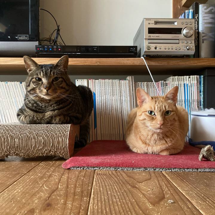 97a83591 9412 4ad6 aa61 26b74aaa4a7a 1685747363519