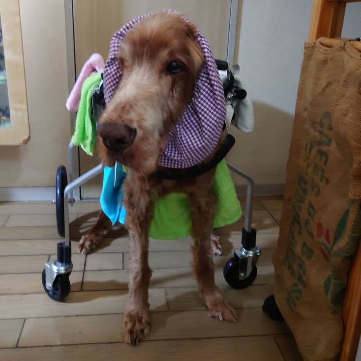 97a871d3 fa62 4df4 858f cfb3ea2fc817 1744979020187