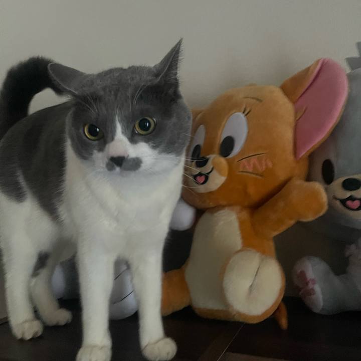 97a89afa 454a 4509 b703 ebbb81793ef8 1709682756209