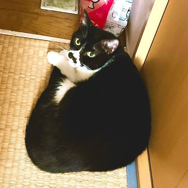 97a901ee c97d 4585 91f5 8941c831ad9c 1660287592184