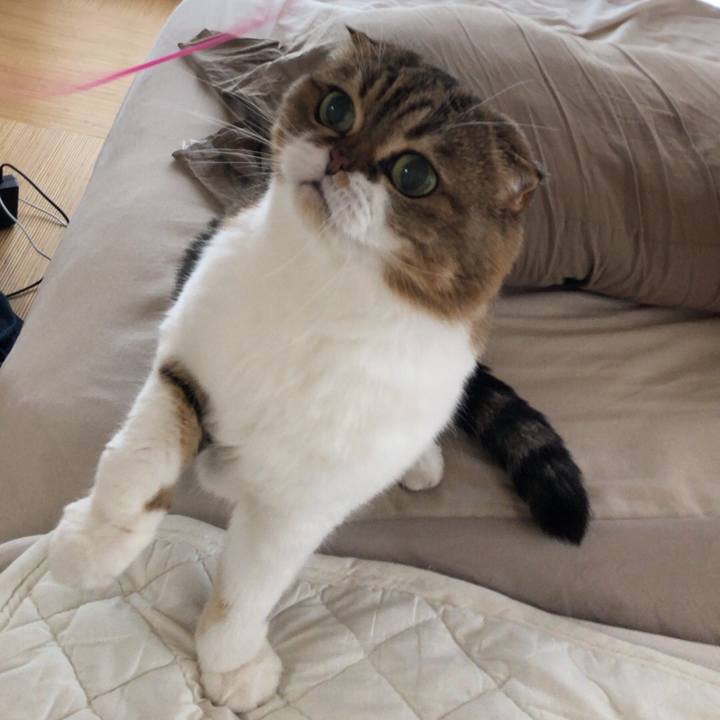 97a90435 4029 45b5 83dc 0840089e058b 1539404416707