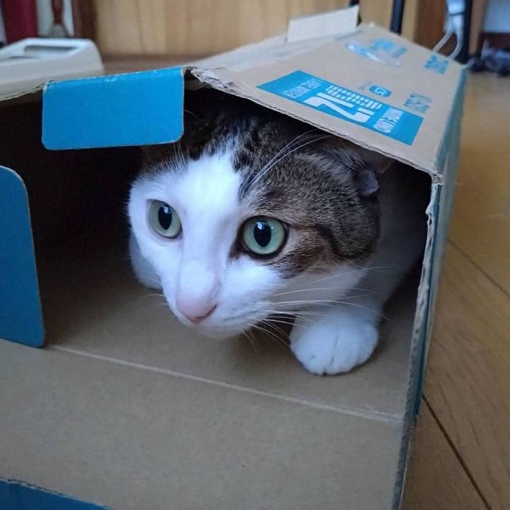 97a90b49 2a70 4355 ba5b 4f38d7ea3fa0 1758952233147