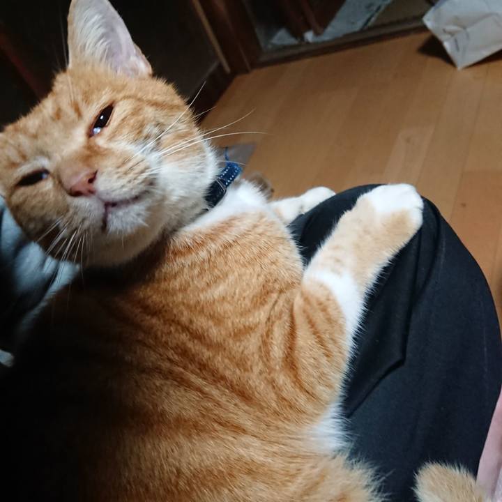 97a912f4 1b53 44ef 8ad4 0c2550ba2e52 1602972171148