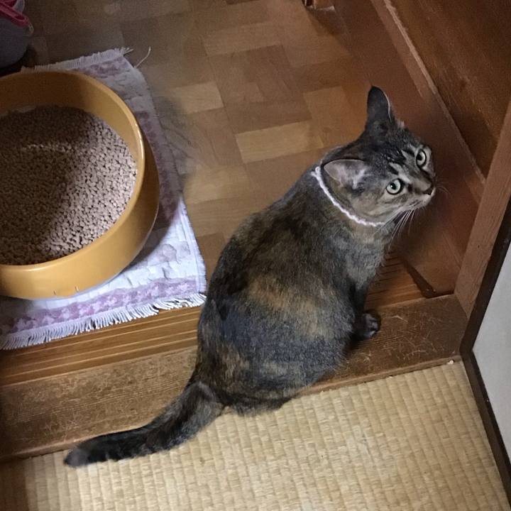 97a92c37 2a34 4fa7 b6d9 0645b46dd63f 1723801618241