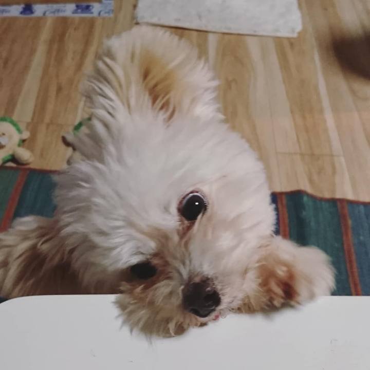 97a9379d 78c5 4366 9a52 b35d7ebfabe2 1550162896677