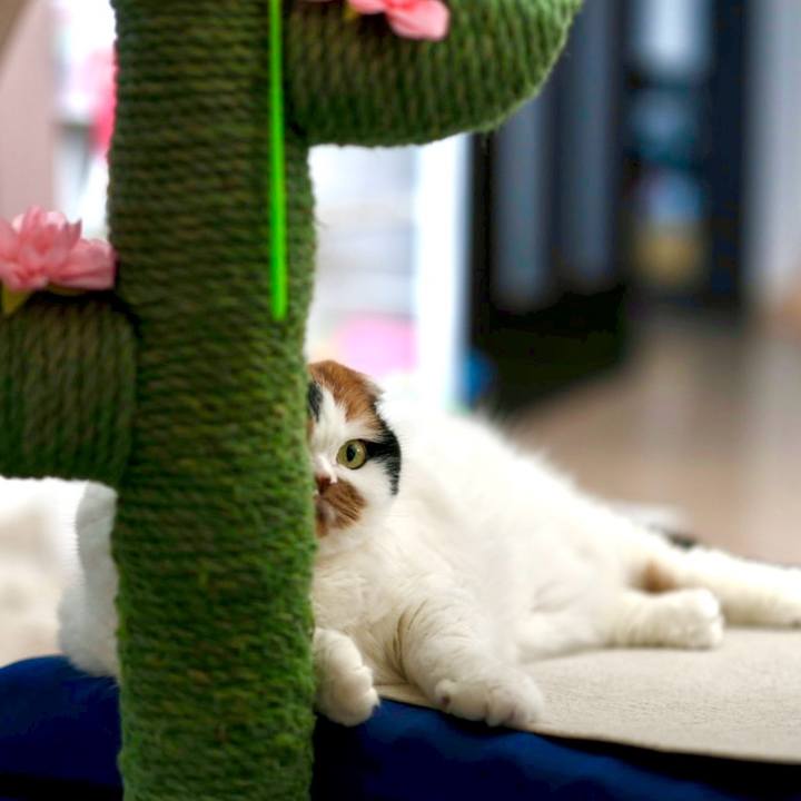 97a9652f 03d6 4358 bfa5 e65eea705bf2 1709685907770