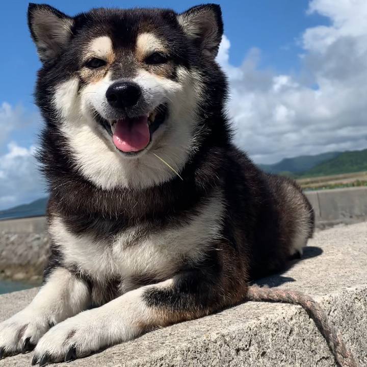 97a9f0b3 0eb8 4486 8877 1a8f42d977d1 1689556927166