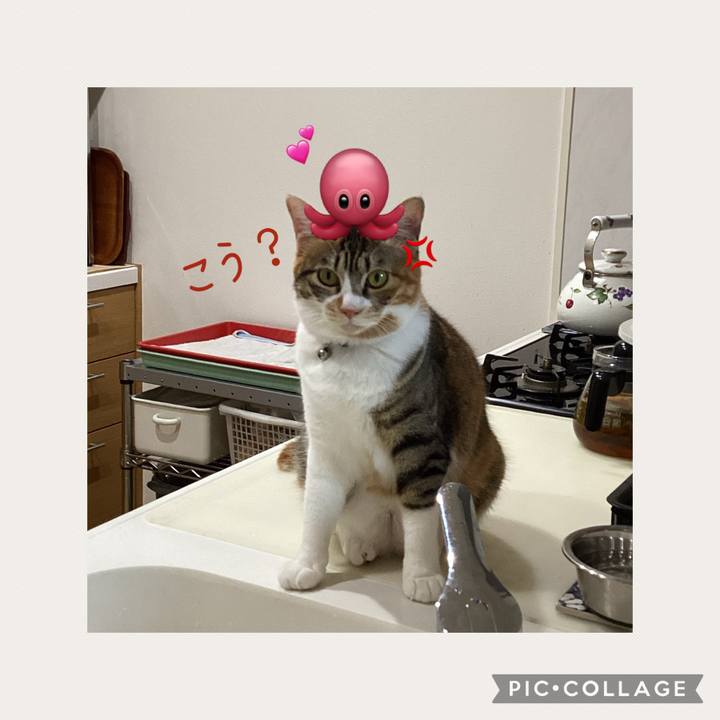 97aad202 8c8e 4ca8 931c db6fc7c67677 1656724443727