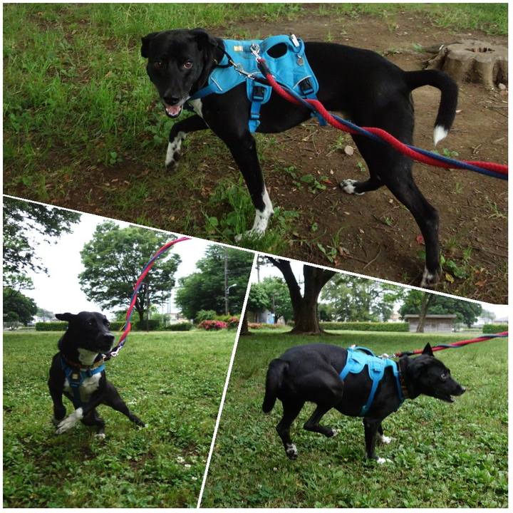 97ab01c5 b25e 44b6 a103 2df74f5be60c 1621383024752