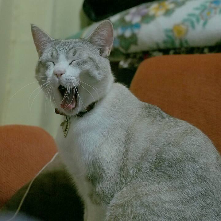 97ab4c50 b61a 4c20 a0fe faf75adf935a 1529583490046