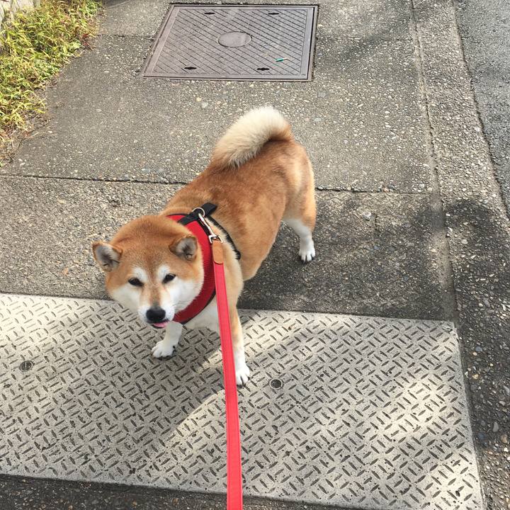 97ab9019 d322 44a5 a548 312d5217b728 1604281010419