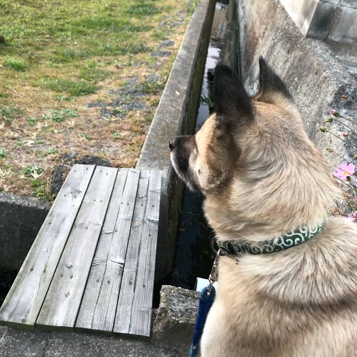 97aba627 9767 4847 9dd3 32a69c51890d 1608120697332