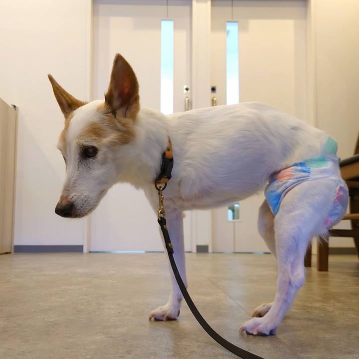 97abd25a 3b7c 40eb 9663 a7ca82d39084 1768114623528