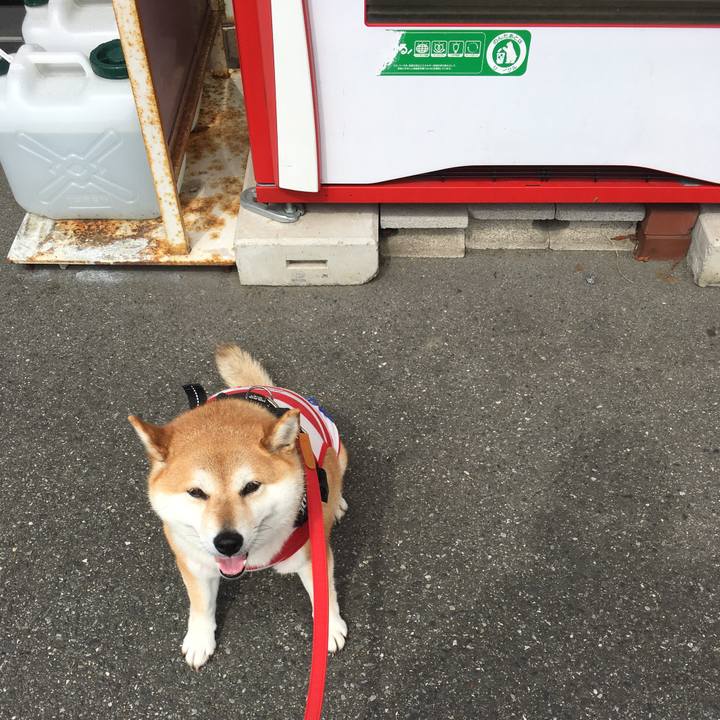 97abe125 7582 4b00 8d97 d506060020df 1592439558488